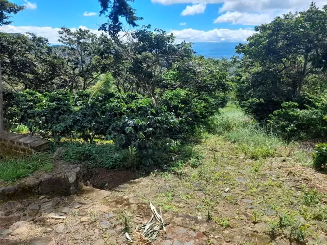 SE VENDE FINCA 97 MANZANAS JUAYUA SONSONATE