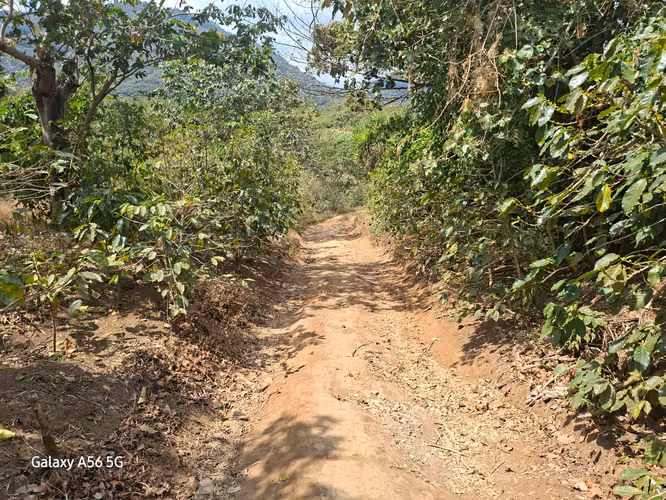 SE VENDE FINCA 97 MANZANAS JUAYUA SONSONATE