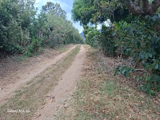 SE VENDE FINCA 97 MANZANAS JUAYUA SONSONATE
