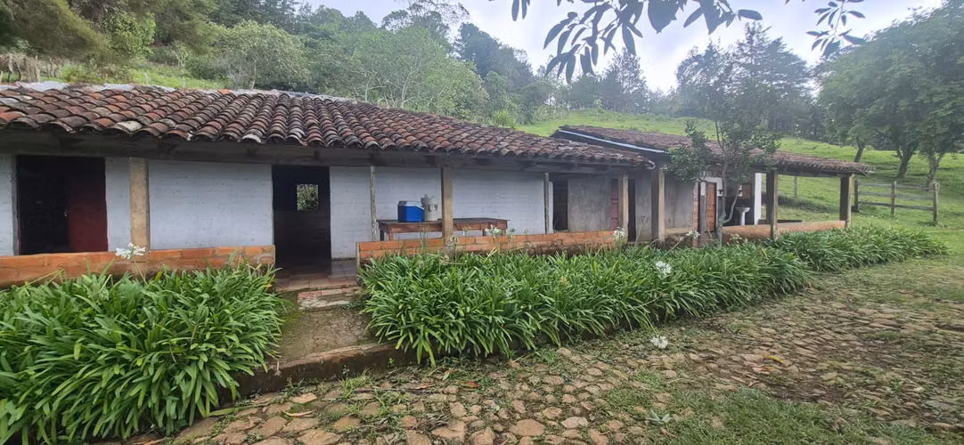 Venta de espectacular terreno de 300 manzanas en Cerro Montecristo, Metapán - Imagen 12