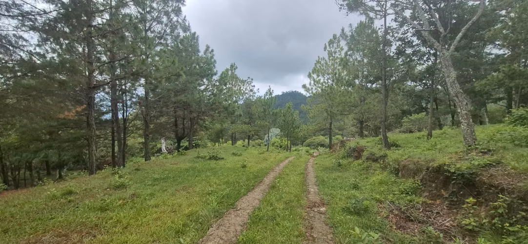 Venta de espectacular terreno de 300 manzanas en Cerro Montecristo, Metapán - Imagen 5