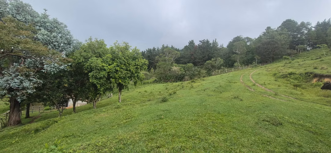 Venta de espectacular terreno de 300 manzanas en Cerro Montecristo, Metapán - Imagen 8