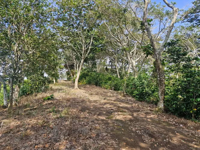 Terreno 1 Manzana con Vista Panorámica Santa Tecla, Calle a Comasagua - Imagen 4