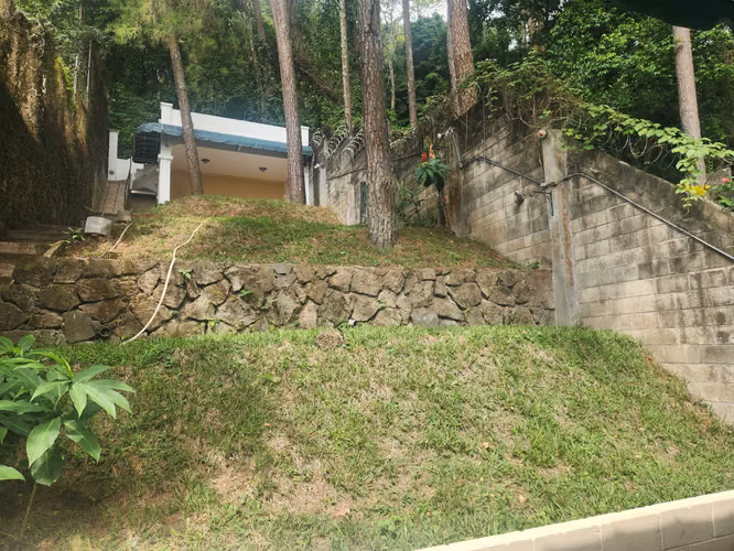 Bosquesde santa  Elena - Imagen 7