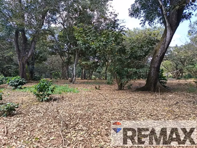 AHUACHAPÁN, TERRENO EN VENTA. PRIVADO, A 5 MIN DEL ARCO DURÁN - Imagen 3