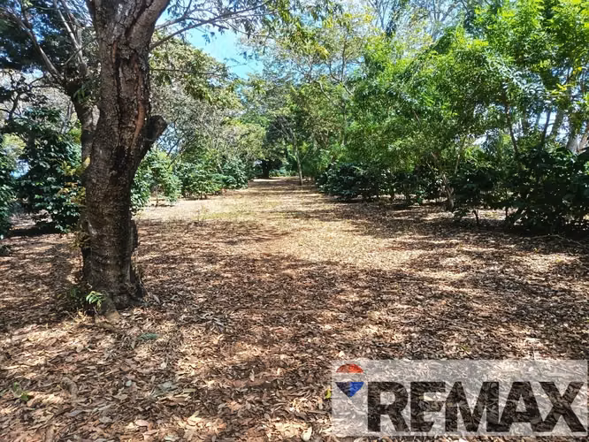 AHUACHAPÁN, TERRENO EN VENTA. PRIVADO, A 5 MIN DEL ARCO DURÁN - Imagen 9