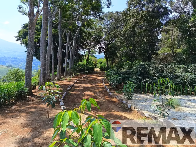 AHUACHAPÁN, TERRENO EN VENTA. PRIVADO, A 5 MIN DEL ARCO DURÁN - Imagen 2