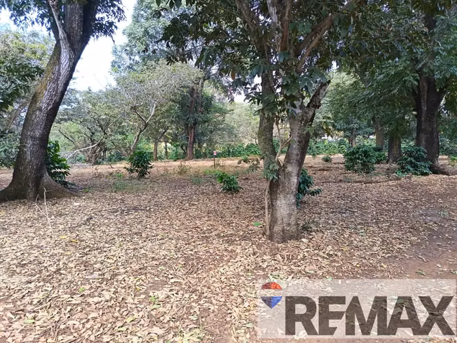 AHUACHAPÁN, TERRENO EN VENTA. PRIVADO, A 5 MIN DEL ARCO DURÁN - Imagen 5