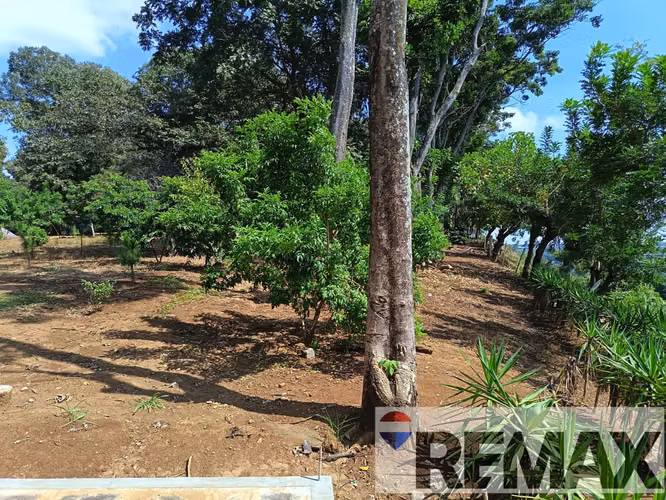 AHUACHAPÁN, TERRENO EN VENTA. PRIVADO, A 5 MIN DEL ARCO DURÁN - Imagen 12