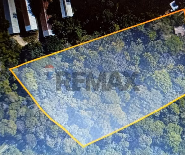 SAN MARTÍN, FINCA EN VENTA. 2.36 MZ