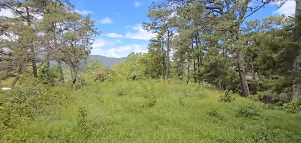 VENTA 31000 METROS TERRENO SAN IGNACIO CHALATENANGO - Imagen 5
