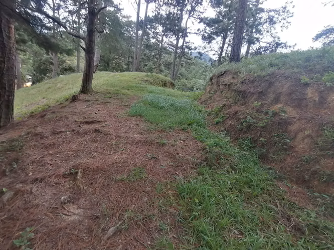 VENTA 4.7 MANZANAS TERRENO SAN IGNACIO CHALATENANGO - Imagen 6