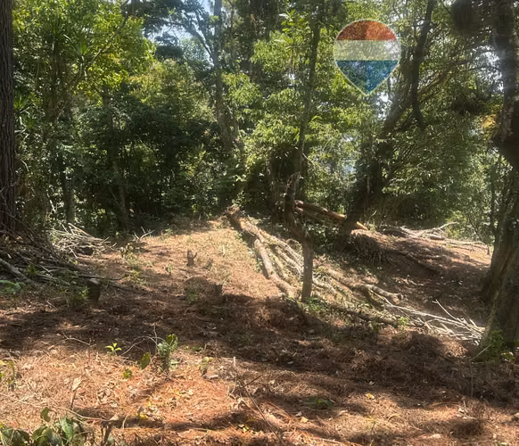 VOLCAN DE SAN SALVADOR, TERRENO EN VENTA. 2.21 MZ. 1800 MSNM