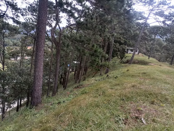 VENTA 1500 METROS TERRENO SAN IGNACIO CHALATENANGO - Imagen 15