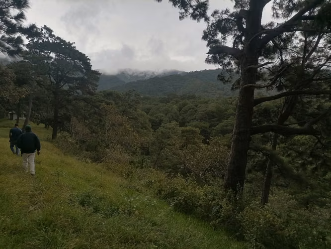 VENTA 1500 METROS TERRENO SAN IGNACIO CHALATENANGO - Imagen 6