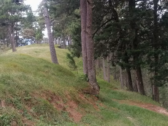 VENTA 1500 METROS TERRENO SAN IGNACIO CHALATENANGO - Imagen 10