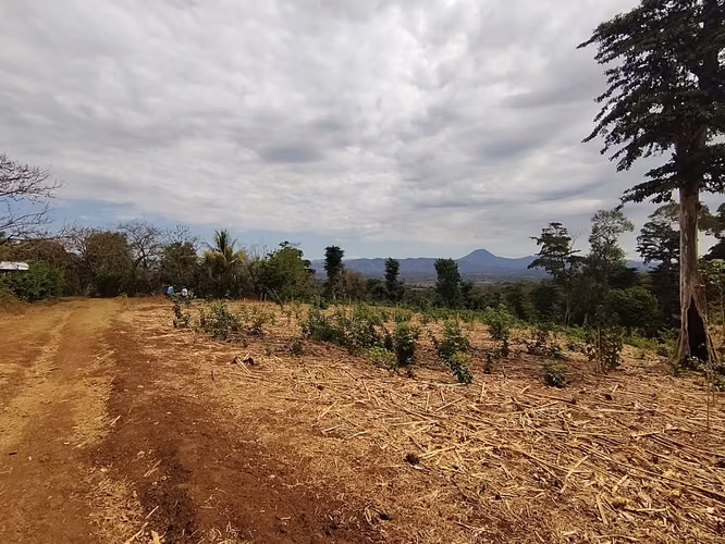 Terreno 6,339.51 m² en Ahuachapán – Precio muy por debajo de avalúo - Imagen 5