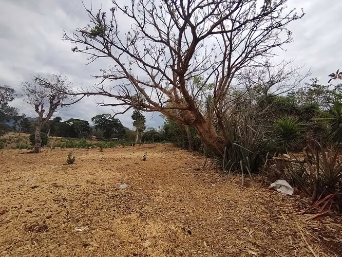 Terreno 6,339.51 m² en Ahuachapán – Precio muy por debajo de avalúo - Imagen 7