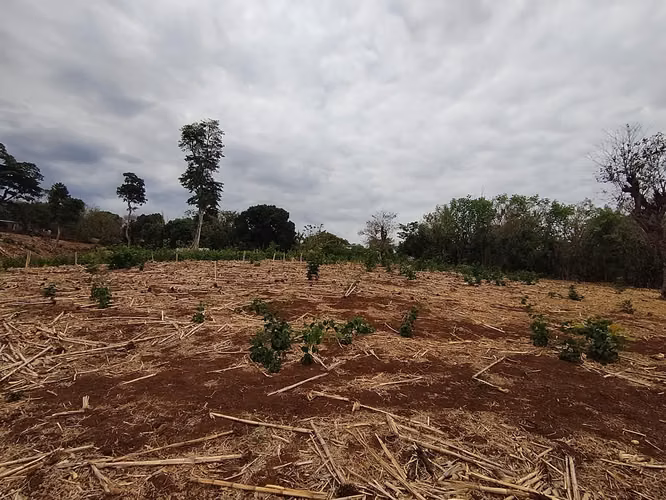 Terreno 6,339.51 m² en Ahuachapán – Precio muy por debajo de avalúo - Imagen 9