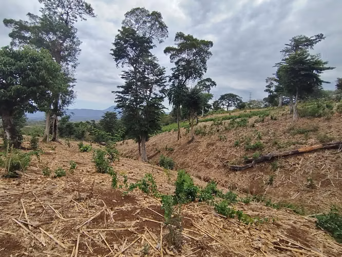 Terreno 6,339.51 m² en Ahuachapán – Precio muy por debajo de avalúo - Imagen 13