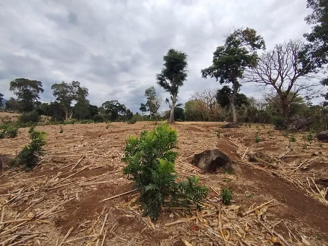 Terreno 6,339.51 m² en Ahuachapán – Precio muy por debajo de avalúo - Imagen 8