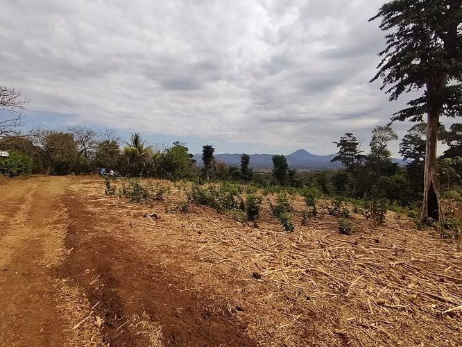 Terreno 6,339.51 m² en Ahuachapán – Precio muy por debajo de avalúo - Imagen 3