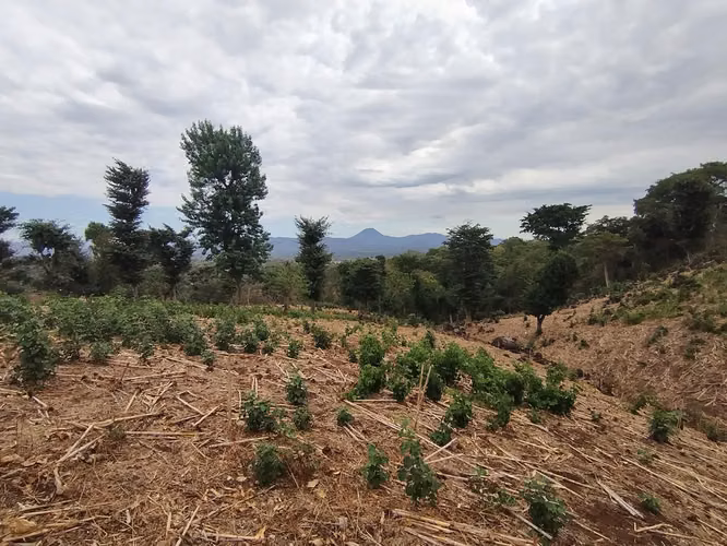 Terreno 6,339.51 m² en Ahuachapán – Precio muy por debajo de avalúo - Imagen 10