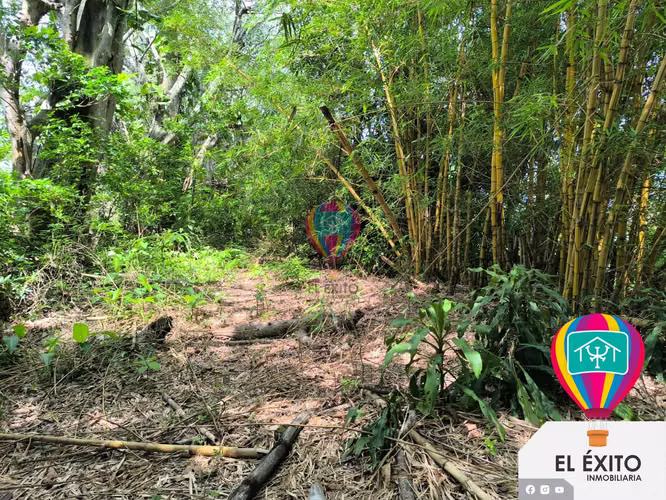 VENDO PRECIOSA FINCA EN PANCHIMALCO, SAN SALVADOR