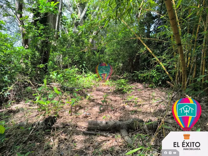 VENDO PRECIOSA FINCA EN PANCHIMALCO, SAN SALVADOR
