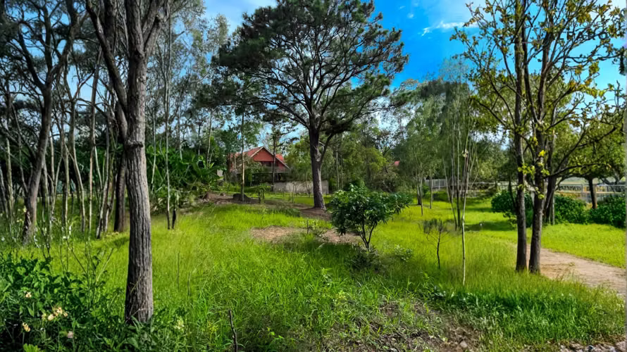 Hermoso terreno en San Ignacio con vistas exclusivas - Imagen 5