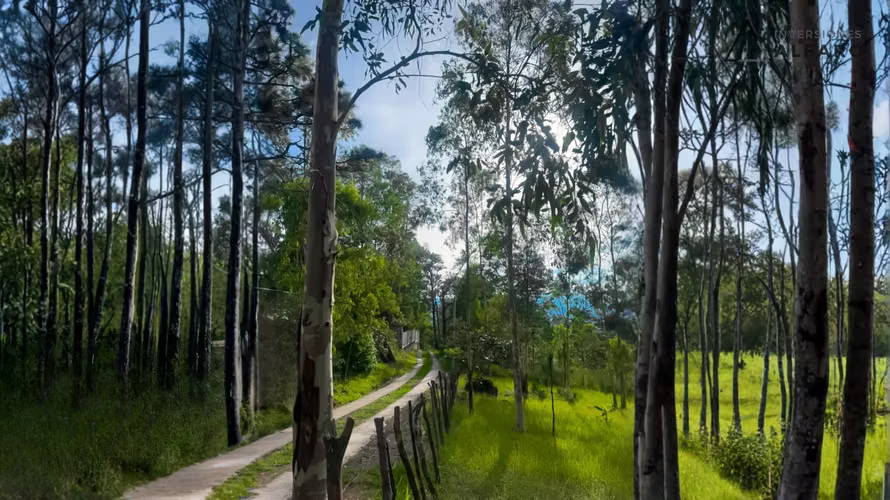 Hermoso terreno en San Ignacio con vistas exclusivas - Imagen 3