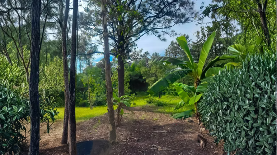 Hermoso terreno en San Ignacio con vistas exclusivas - Imagen 2