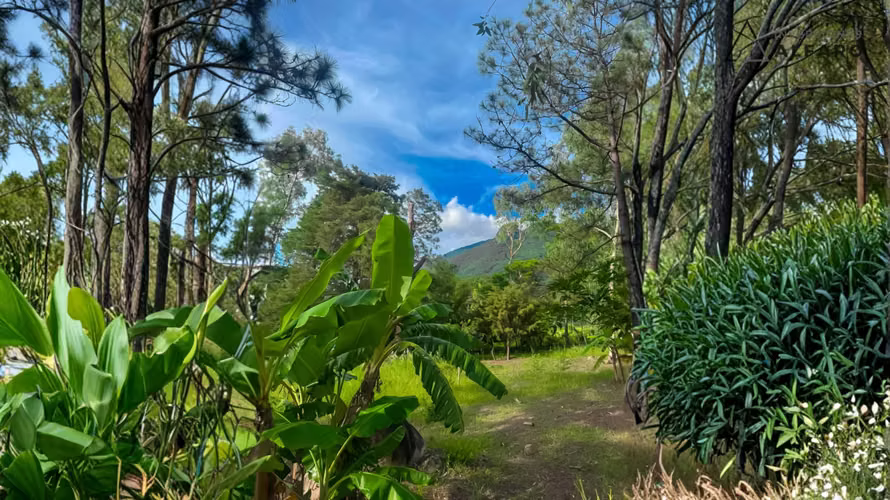 Hermoso terreno en San Ignacio con vistas exclusivas - Imagen 4