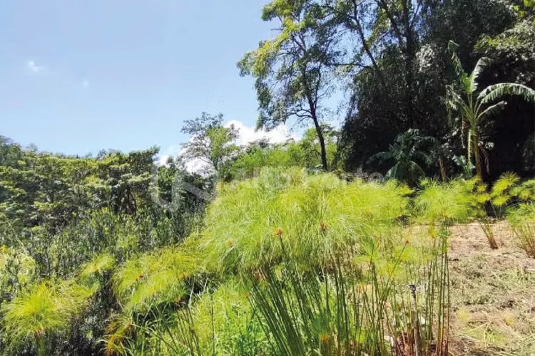 Venta de terreno en San Juan Opico con potencial para proyecto habitacional - Imagen 4