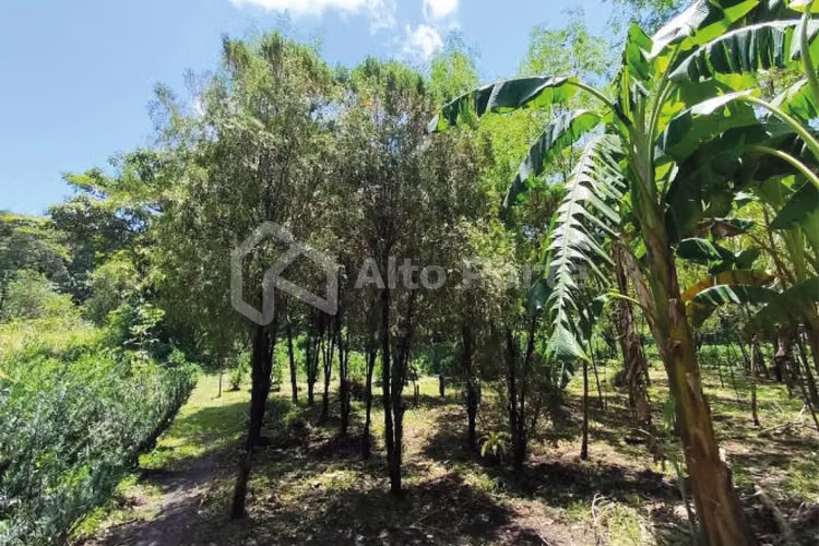 Venta de terreno en San Juan Opico con potencial para proyecto habitacional - Imagen 8