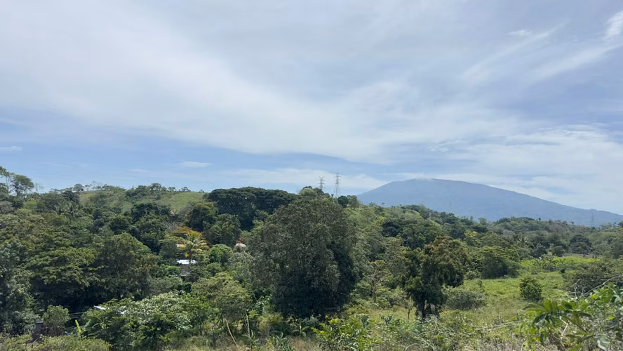 COLON VENDO TERRENO GRANDE EN AGUA FRIA, 300 MANZANAS - Imagen 7