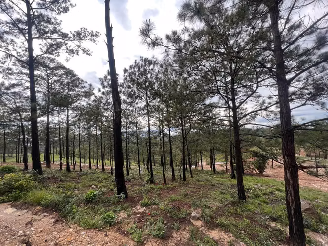 último terreno en Residencial Privado – La Palma, Chalatenango - Imagen 6
