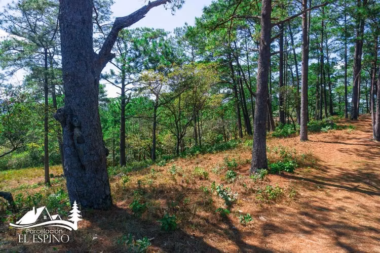 último terreno en Residencial Privado – La Palma, Chalatenango - Imagen 5