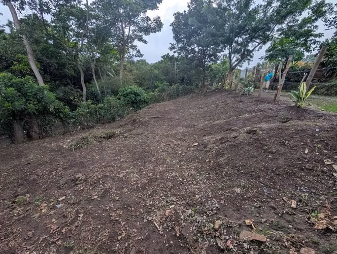 LOTE EN LA RUTA DE LAS FLORES - Imagen 4