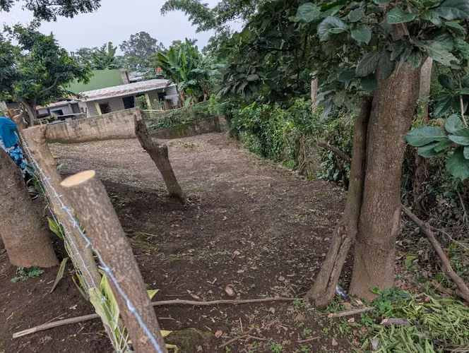 LOTE EN LA RUTA DE LAS FLORES - Imagen 2