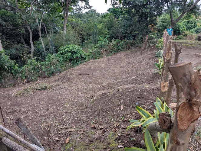 LOTE EN LA RUTA DE LAS FLORES - Imagen 3