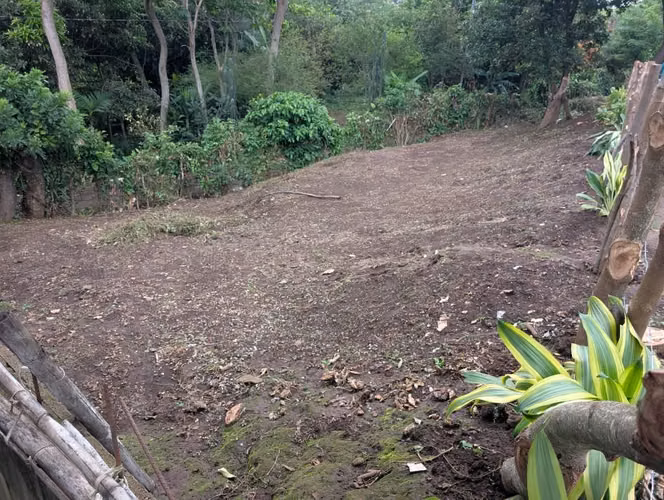 LOTE EN LA RUTA DE LAS FLORES - Imagen 6