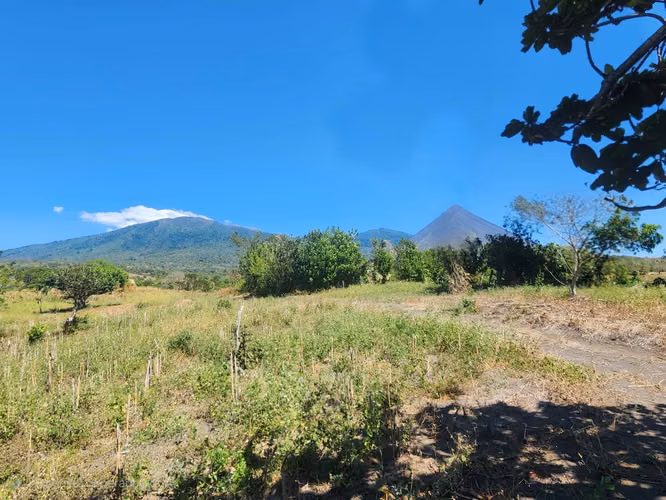 EN VENTA 20 MZ DE FINCA CAFETERA EN RUTA DE LAS FLORES, SONSONATE, EL SALVADOR - Imagen 7