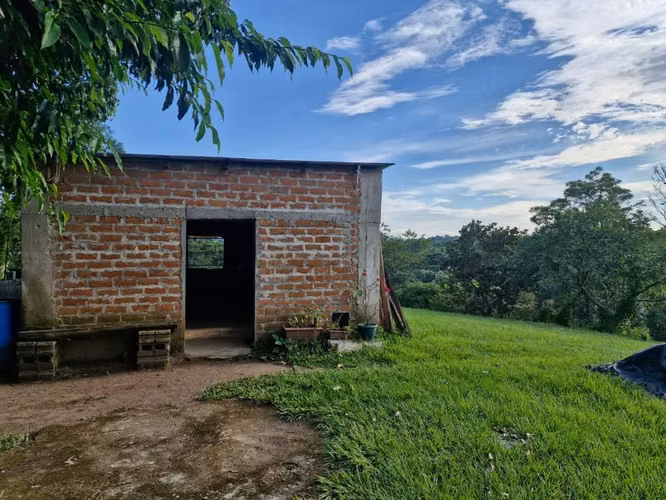 Finca Agrícola en Producción | 3.6 Mz | 500 Limoneros | Ciudad Arce - Imagen 4