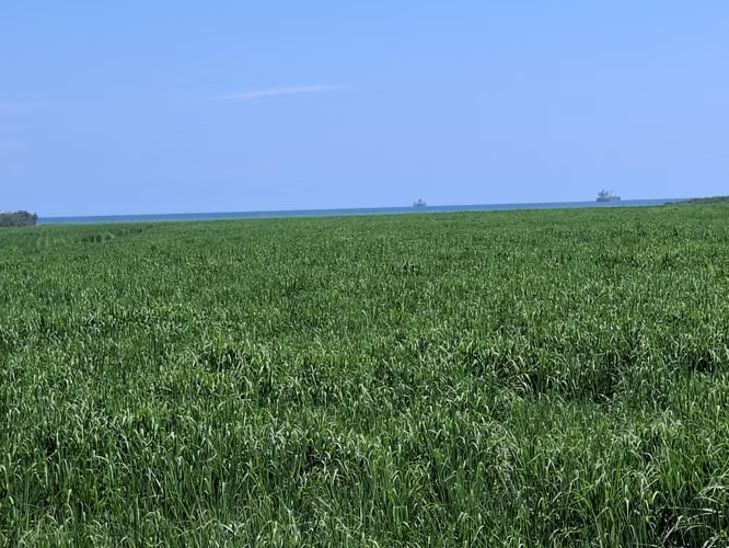 VENTA 90 MANZANAS TERRENO CON 1 KILOMETRO PLAYA EL ZUNZA ACAJUTLA