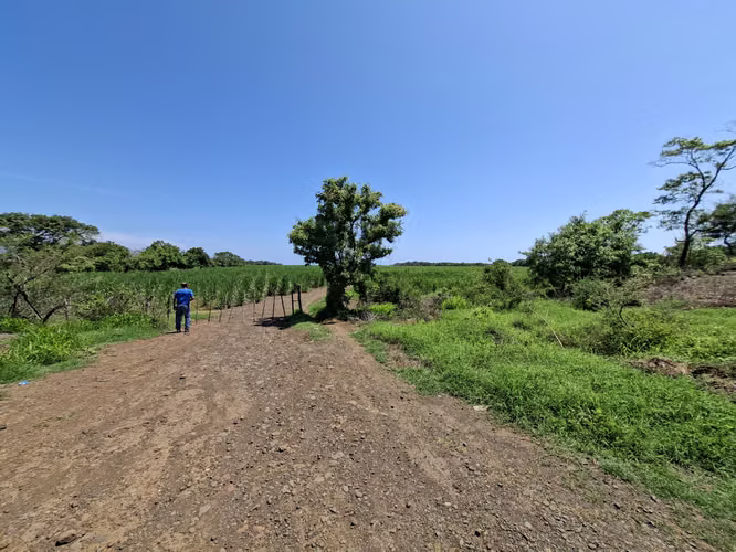 VENTA 90 MANZANAS TERRENO CON 1 KILOMETRO PLAYA EL ZUNZA ACAJUTLA