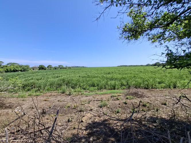 VENTA 90 MANZANAS TERRENO CON 1 KILOMETRO PLAYA EL ZUNZA ACAJUTLA