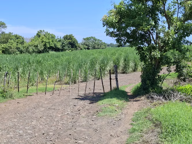 VENTA 90 MANZANAS TERRENO CON 1 KILOMETRO PLAYA EL ZUNZA ACAJUTLA