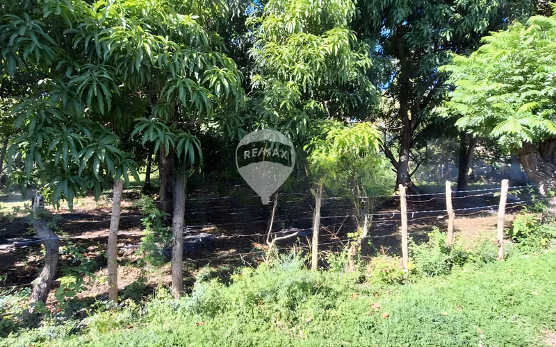 Vta. | Terreno con casa | Jiquilisco | Usulután - Imagen 2