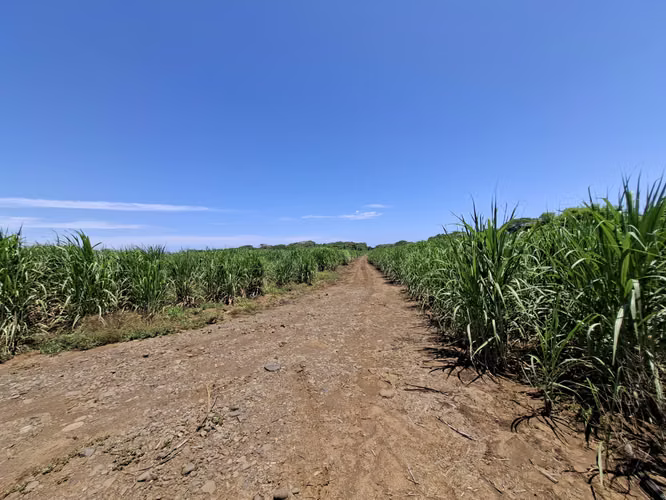 VENTA 60 MANZANAS TERRENO CONTIGUO  CIUDAD ACAJUTLA - Imagen 6